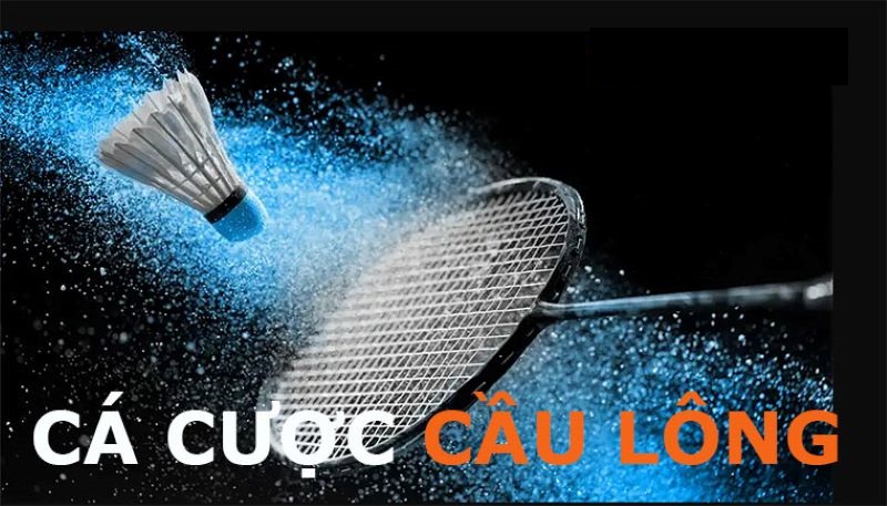 Cá Cược Cầu Lông 2 Vì sao nên Cá Cược Cầu Lông tại XocDia88?