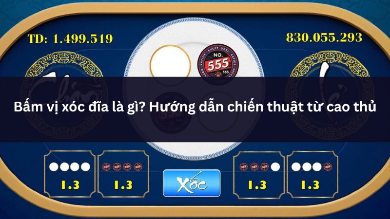 Bấm vị xóc đĩa là gì? Hướng dẫn chiến thuật từ cao thủ 1 bam vi xoc dia humb